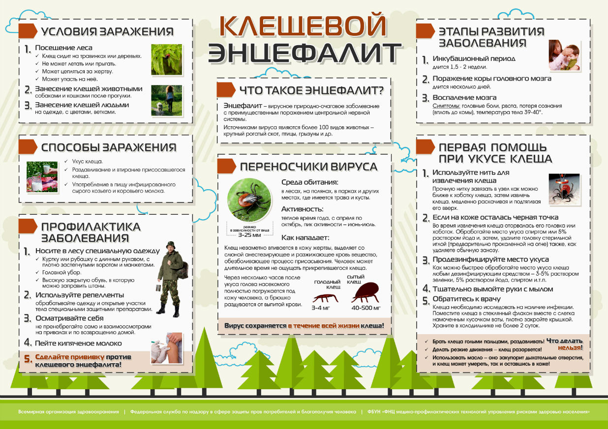 плакат-Клещевой-энцефалит3.jpg